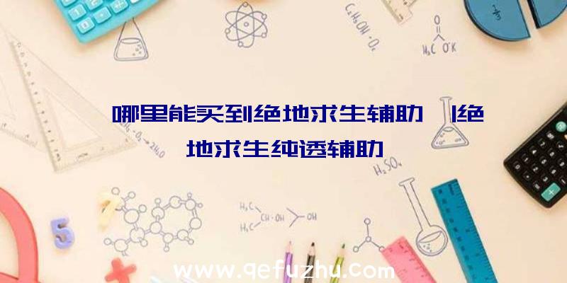 「哪里能买到绝地求生辅助」|绝地求生纯透辅助